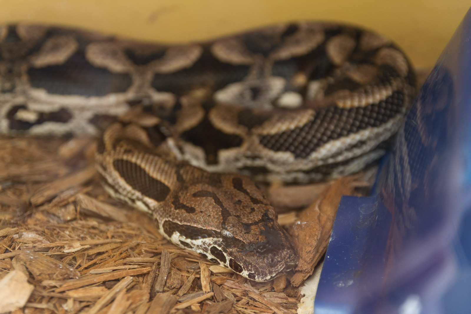 18 02 Homestead 044 IMG 5891